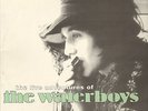 WATERBOYS ?– The Live Adventures Of The Waterboys (1998 UK VINYL 3-LP)