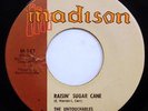 UNTOUCHABLES 45 Raisin Sugar Cane / Do Your Best Mod SOUL 1961 w1445