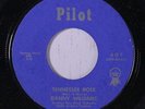 DANNY WILLIAMS: Dreamer / Tennessee Rose 45 (Eddie Cochran prod.) rare Rockabil