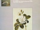L'Oiseau-Lyre OLS133-34 - Bach - Suites for Cello - Jean-Max CLEMENT - VERY RARE
