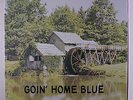 VICTIMS OF CHANCE: Goin' Home Blue LP (private pressing c. 70s, textured cover