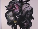 MASSIVE ATTACK: Collected LP (3 x 12