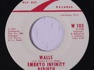 EMBRYO INFINITY REBIRTH: Walls 45 (Cleveland, Ohio '71 primitive psych) rare Ro
