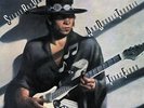 STEVIE RAY VAUGHAN/DOUBLE TROUBLE**TEXAS FLOOD (180G/LTD ED/RM)**2 VINYL SET