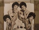 THE SHIRELLES - FOREVER.  NEW SEALED VINYL  LP RE-ISSUE
