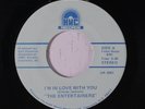 ENTERTAINERS: I'm In Love With You 45 rare Soul