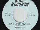 Modern Soul 45 - D. Watson - Say What's On Your Mind - R.A.C. - VG++ mp3 - rare