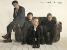 Cranberries, The - No Need To Argue [LP] (180 Gram) 2015/Sealed