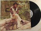 Roy Roberts LP HOUSE OF ROTON Country Star RARE PRIVATE MODERN SOUL