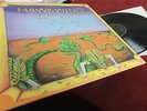 HAWKWIND    