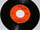 Rare Garage Punk/ The Vestells/
