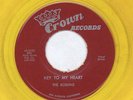 ROBBINS: Key To My Heart / All I Do Is Rock 45 (repro, yellow wax) rare Vocal G