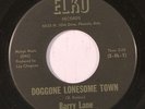 BARRY LANE: Doggone Lonesome Town / I Don't Want You 45 rare Rockabilly