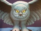 RUSH - Fly By Night (reissue) - Vinyl (LP)