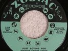 RUBY ANDREWS “Just Loving You” ORIG ZODIAC Z-1010 NM-