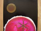 WOMB womb DOT orig 1969 1st acid psych blues garage RARE EX