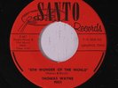 THOMAS WAYNE: 8th Wonder Of The World / Stop The River 45 Oldies