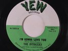 INTRIGUES: I'm Gonna Love You / I Gotta Find Out For Myself 45 Soul
