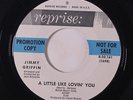JIMMY GRIFFIN: A Little Like Lovin' You / What Kind Of Girl Are You 45 (dj, xol