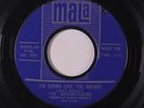 BIRDWATCHERS: I'm Gonna Love You Anyway / A Little Bit Of Lovin' 45 (w/ company