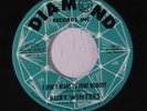 RUBY WINTERS: I Don't Want To Hurt Nobody / Just A Dream 45 Soul