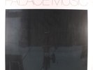 PALACE MUSIC: Lost Blues & Other Songs LP (2 LPs, repress) Rock & Pop