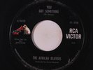 AFRICAN BEAVERS: You Got Something / Night Time Is The Right Time 45 (sl label