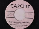 MASKMAN & THE AGENTS: The World Is A Cafeteria / Wigs 45 (almost M-) Soul