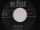 BUCKEYE PALS: Buckeye Boogie / Beautiful Dreamer 45 (instros) Country