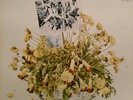 The Churls / Send Me No Flowers  RARE OOP ORIG A&M Canadian Psych Vinyl LP (EX)