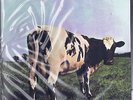 PINK FLOYD Atom Heart Mother (MFSL 1-202) US/Japan audiophile LP Still Sealed