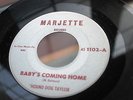 Hound Dog Taylor ?–  Baby's Coming Home US BLUES 7