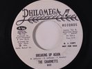 CHARMETTS: Breaking Up Again / What About The Children 45 (dj) Soul