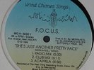 F.O.C.U.S.: She's Just Another Pretty Face 12 Hear  (Cleveland obscurity )