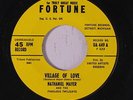 NATHANIEL MAYER & FABULOUS TWILIGHTS: Village Of Love / I Want A Woman 45
