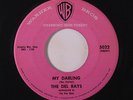 DEL RAYS: My Darling / The One I Adore 45 Vocal Groups