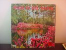 1975 THE DISCIPLES Wade In The Water BLACK GOSPEL LP VEE-JAY INTERNATIONAL RARE