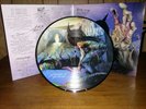 In Flames A Sense Of Purpose picture disc very rare NM vinyl Kiss Metalica