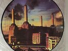 PINK FLOYD ANIMALS Picture Disc Vinyl LP Record Super Rare Holland Import