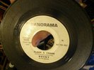 ROCKY & THE RIDDLERS Flash & Crash 45 7