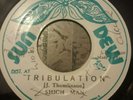 Shich Man Tribulation Killer Roots 7