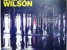 BRIAN WILSON LP x 2 No Pier Pressure Double AUDIOPHILE 180g Vinyl 16 Trk SEALED