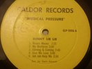 Bunny Lie Lie Musical Pressure LP Listen 