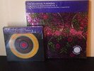 THE SMASHING PUMPKINS - TEARGARDEN BY KALEIDYSCOPE VOL. I & II - NO RESERVE