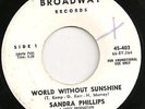 RARE N.Soul - SANDRA PHILLIPS - World without sunshine - US BROADWAY WLP EX