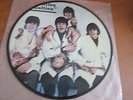 VINYL LP BEATLES BUTCHER COVER CASUALTIES PROMO PICTURE DISC