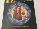 Nirvana Come as you Are Special Limited edition 12 inch Picture Disc Vinyl