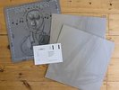 ORBITAL - Snivilisation - 2 x 12 inch Vinyl LP - 1994 UK