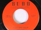 Hear Funk Alabama Nm 45 Ted Ford - I Can'T Give You Up / Real Soul O