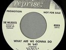 HEAR IT Girl Group Promo 45 rpm The Wildcats 